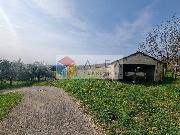   , , mala slika 26