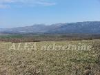 Nekretnina , 