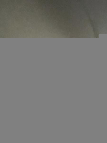   , , slika 2