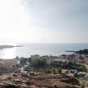   , , mala slika 29