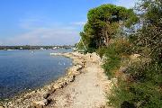  , , mala slika 28