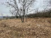   , , mala slika 4