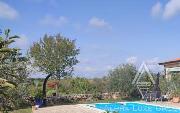   , , mala slika 7