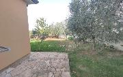   , , mala slika 46