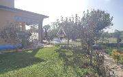   , , mala slika 50