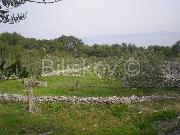   ,  mala slika 1