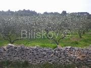   , , mala slika 2