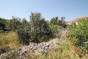   , , mala slika 4