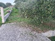   , , mala slika 2