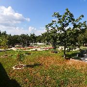   , , mala slika 22