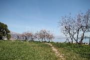   , , mala slika 7