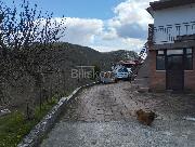   , , mala slika 11