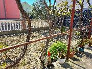   , , mala slika 8