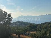   , , mala slika 2