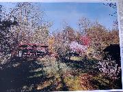   , , mala slika 2