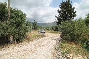   , , mala slika 8