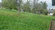  , , mala slika 14