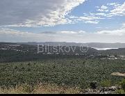   ,  mala slika 1