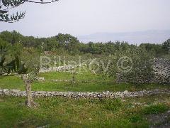 Nekretnina , 