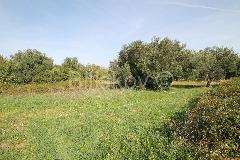 Nekretnina , 