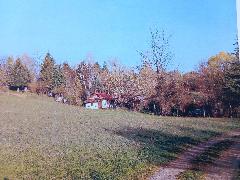Nekretnina , 