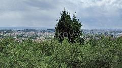 Nekretnina , 
