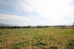 Nekretnina Kaštela, Kaštel Novi