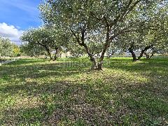 Nekretnina Kaštela, Kaštel Novi