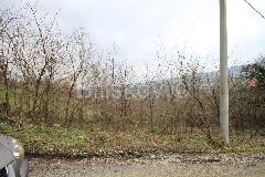 Nekretnina , 