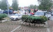   , , mala slika 6