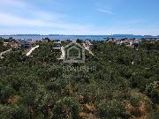   ,  mala slika 1