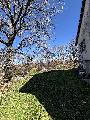   , , mala slika 37