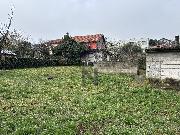   , , mala slika 20