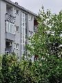   , , mala slika 35