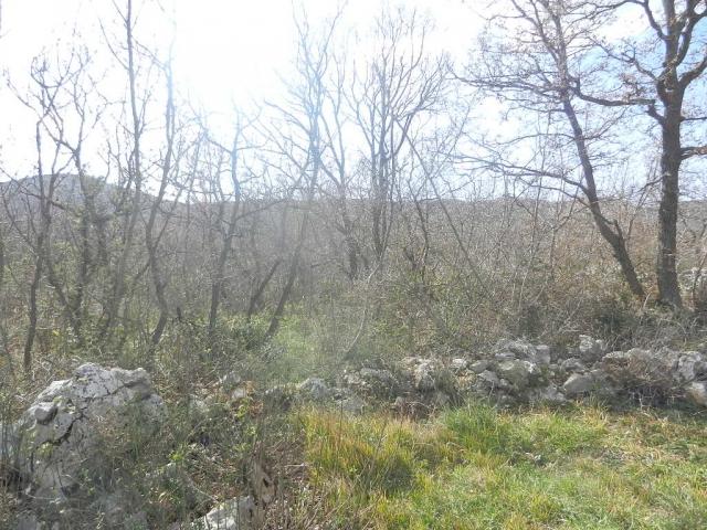   , , slika 2