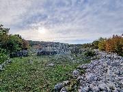   , , mala slika 6