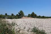   , , mala slika 4