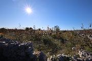   , , mala slika 5
