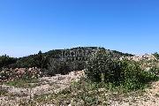   , , mala slika 4