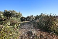 Nekretnina Vodice, Vodice