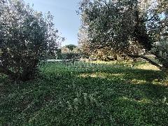 Nekretnina Tribunj, Tribunj