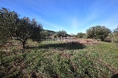 Nekretnina Tribunj, Tribunj