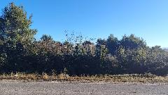 Nekretnina Vodice, Vodice