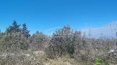 Nekretnina Vodice, Vodice