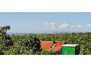   , , mala slika 11