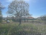   , , mala slika 3