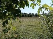   , , mala slika 3