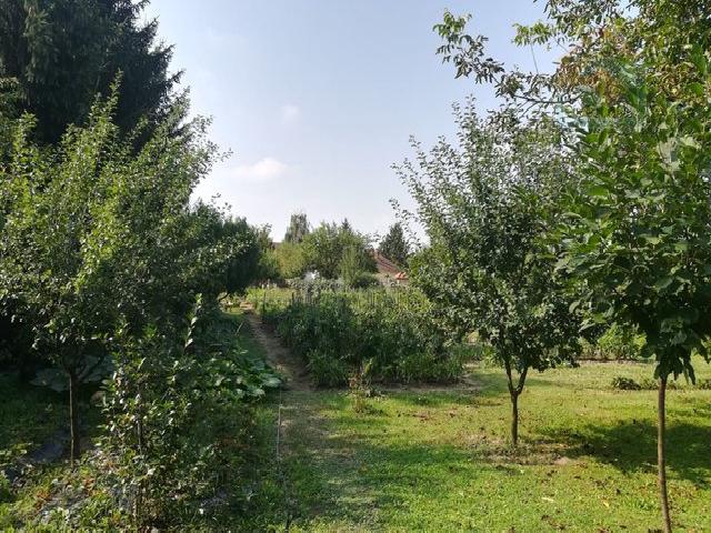   , , slika 2