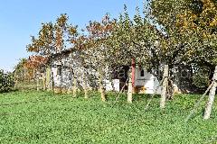 Nekretnina Kapela, Jabučeta