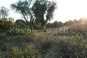   , , mala slika 4